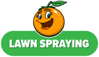 lawn spraying package icon
